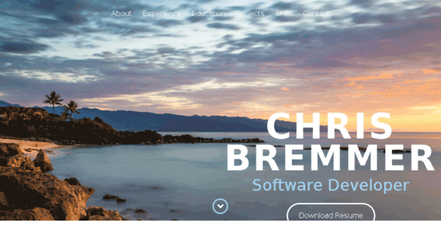 chrisbremmer.com