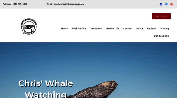 chrisswhalewatching.com