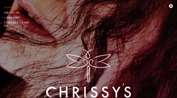 chrissyshaircolorexperts.com