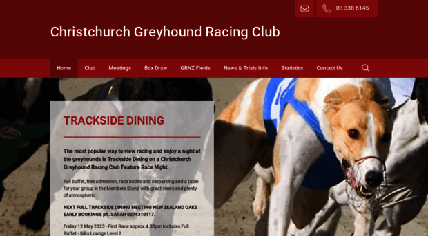 christchurchgreyhounds.co.nz