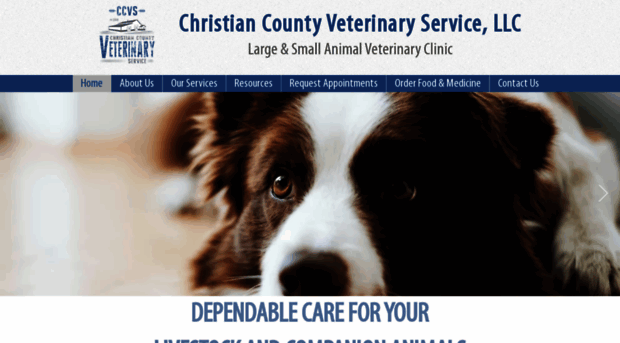 christiancountyvet.com