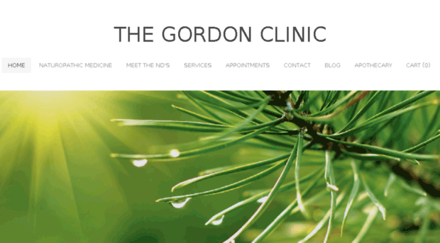 christinagordonnaturopathicdoctor.com