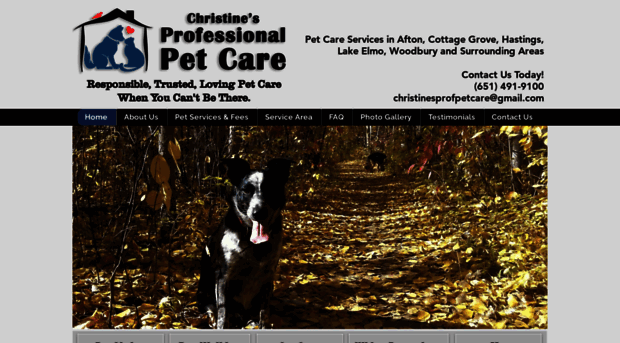 christinesprofpetcare.com