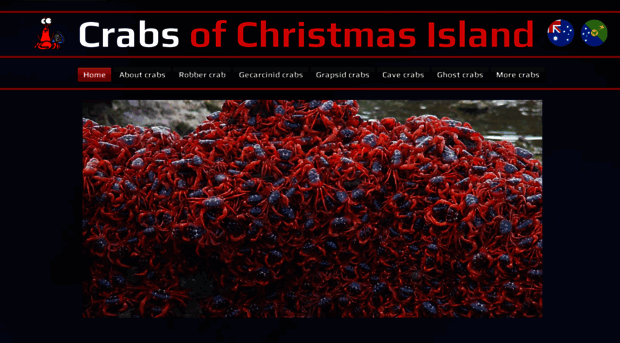 christmasislandcrabs.com