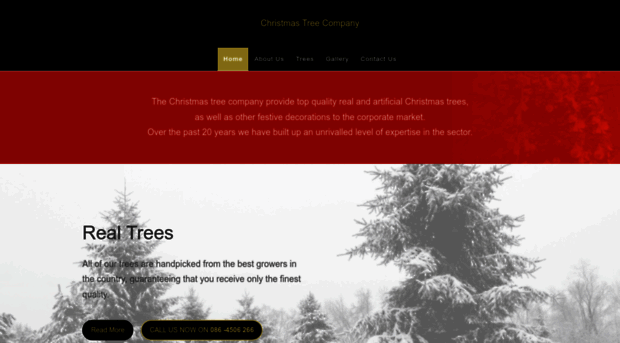 christmastreecompany.ie