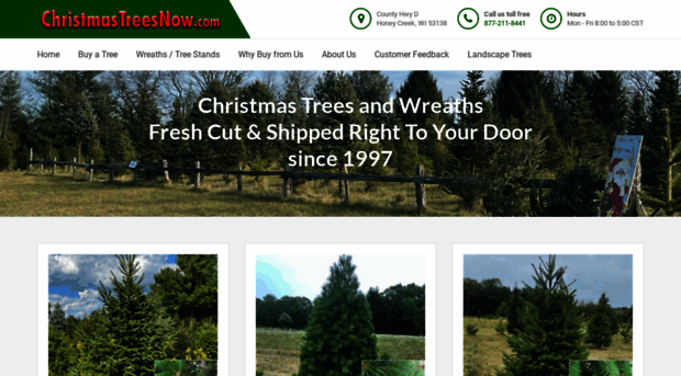 christmastreesnow.com