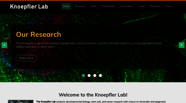 chromatin.com