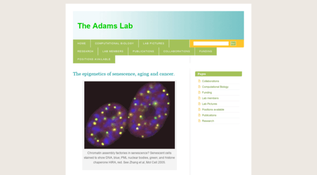 chromatin.wordpress.com