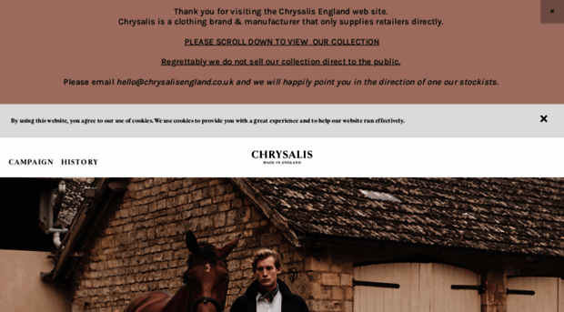 chrysalisengland.co.uk