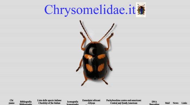 chrysomelidae.it