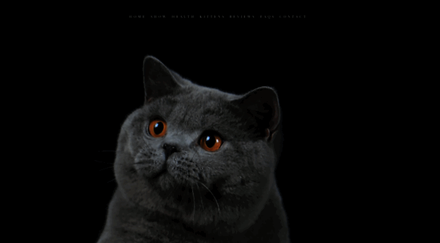 chubby-buddy.com