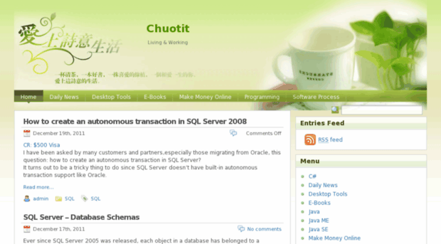 chuotit.com