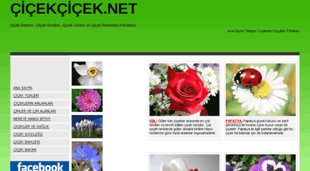 cicekcicek.net