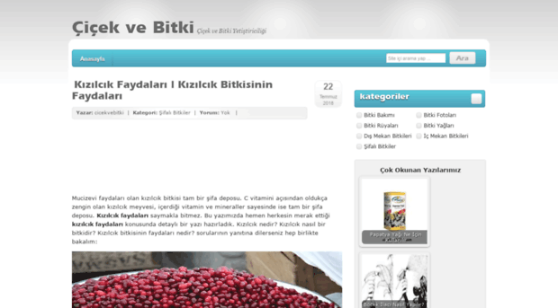 cicekvebitki.com