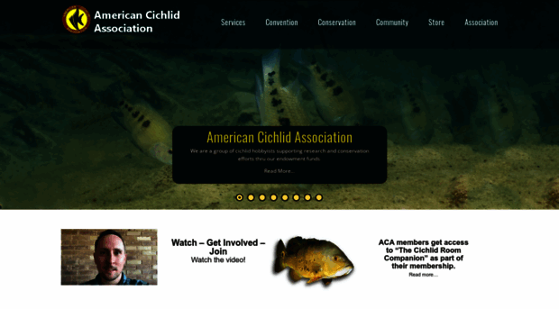 cichlid.org