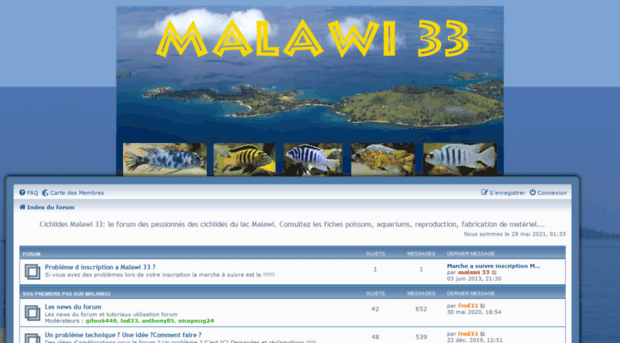 cichlides-malawi-33-le-forum.fr