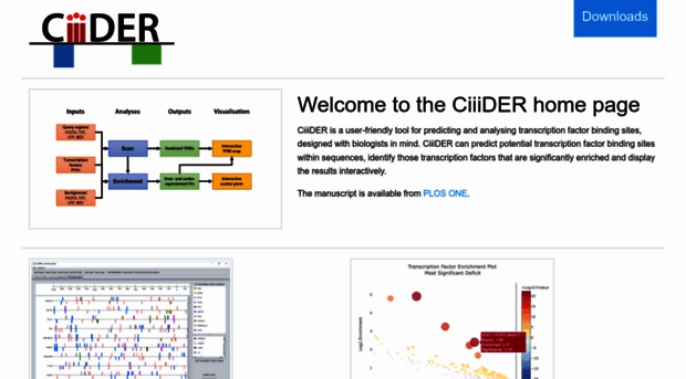 ciiider.net