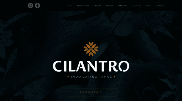 cilantrotapas.com