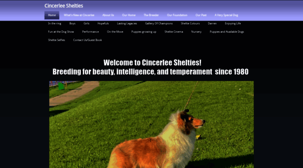 cincerleeshelties.com