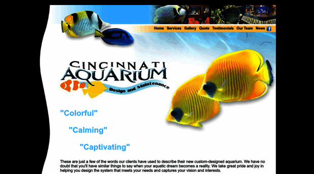 cincyaquariumdesign.com