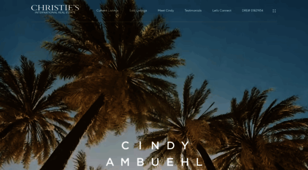 cindyambuehl.com