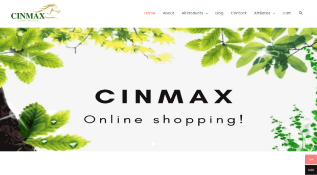 cinmaxonline.com