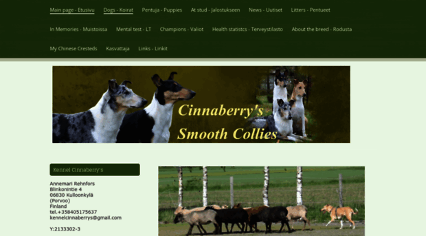 cinnaberry.com