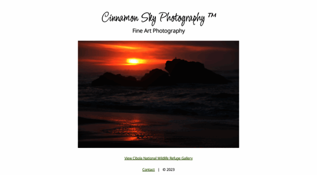 cinnamonskyphotography.com