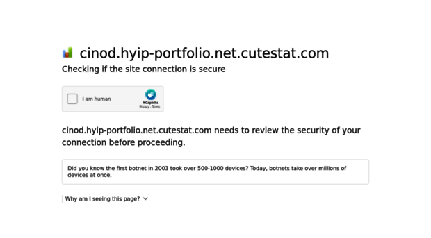 cinod.hyip-portfolio.net.cutestat.com