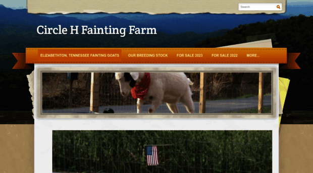 circlehfaintingfarm.com