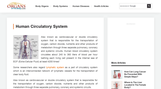 circulatorysystem.organsofthebody.com