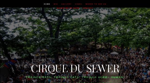 cirquedusewershow.com