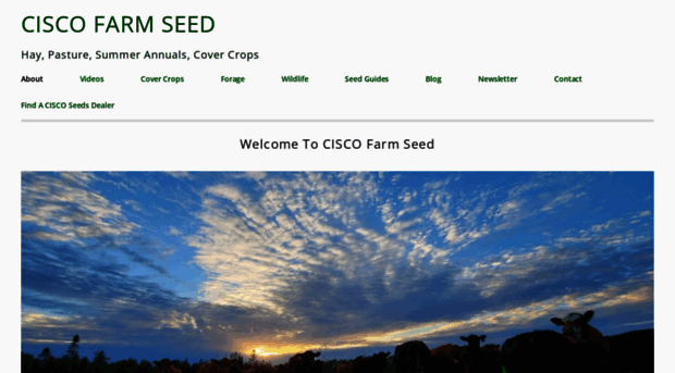 ciscoforage.com