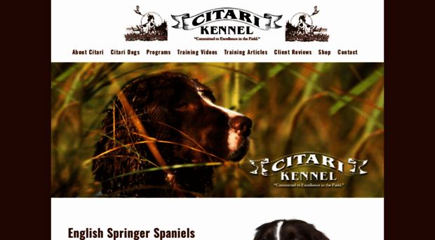 citarispaniels.com