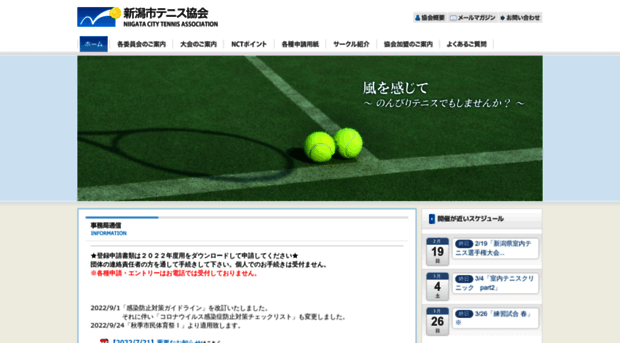 city-niigata-tennis.net