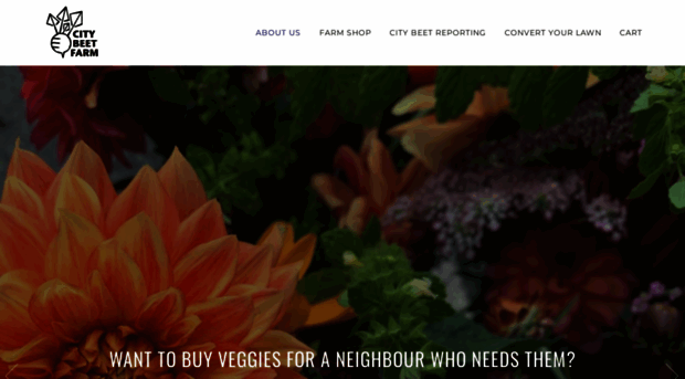 citybeetfarm.com