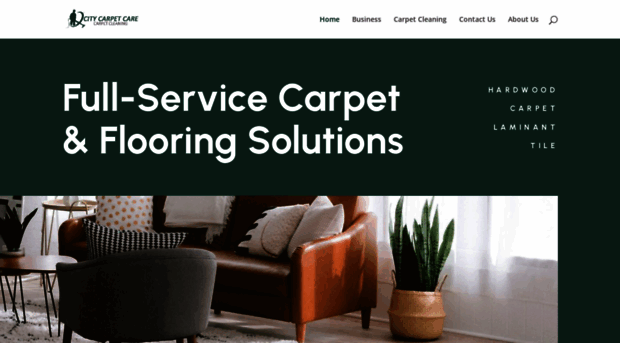 citycarpetcare.com.au