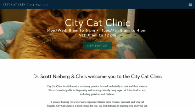 citycatclinic-stl.com