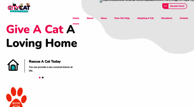 citycatshelter.com