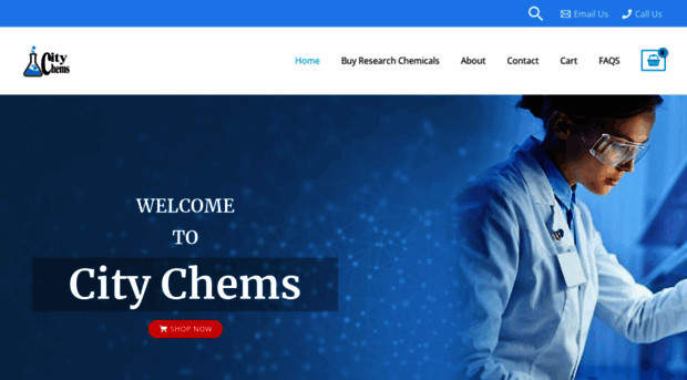 citychems.com