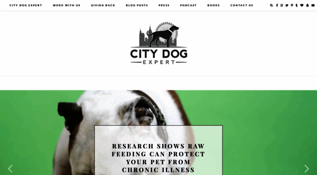 citydogexpert.com