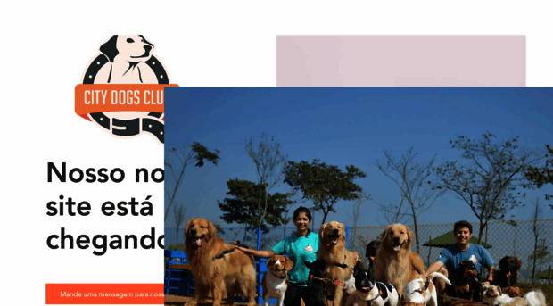 citydogsclub.com.br