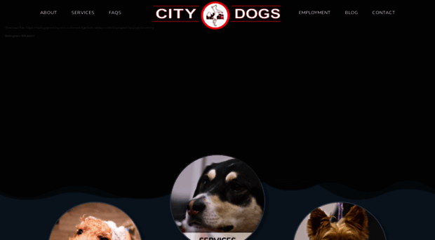 citydogsgrooming.com