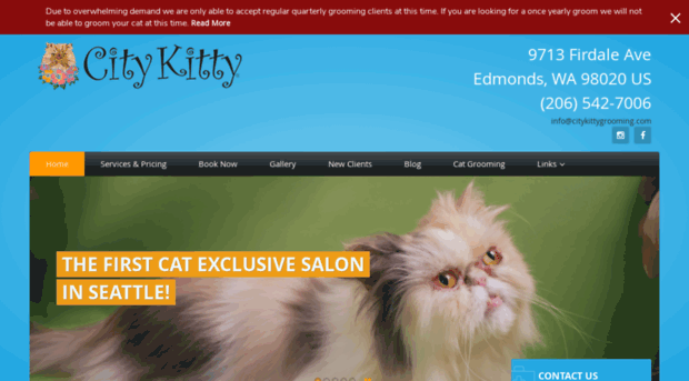 citykittygrooming.com