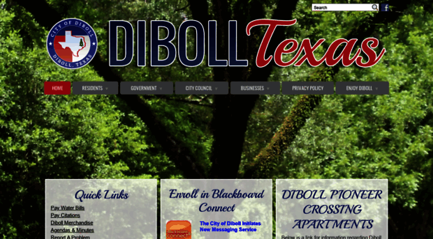 cityofdiboll.com