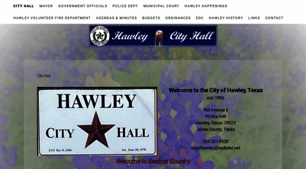 cityofhawley.com