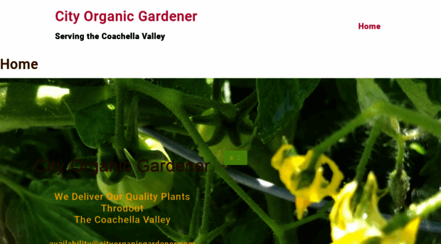 cityorganicgardener.com