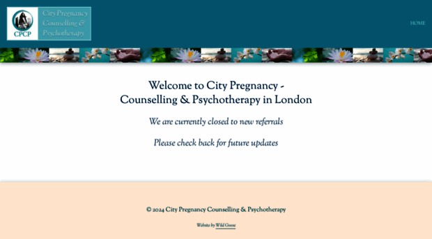 citypregnancy.org.uk