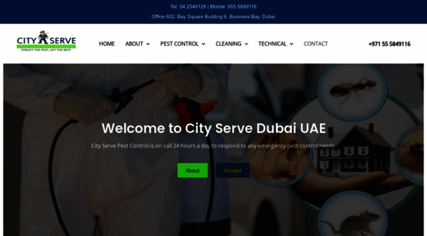 cityservedubai.com