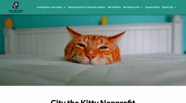 citythekitty.com